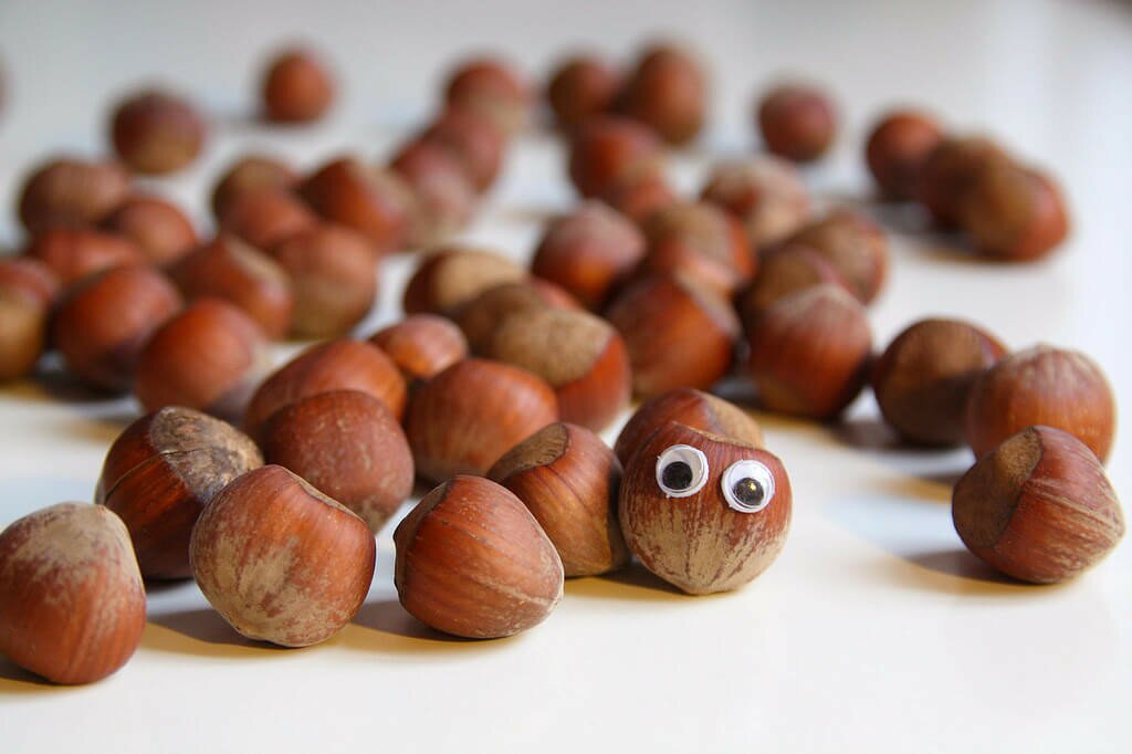nuts pregnancy