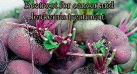 beetroot for cancer and leukemia treatment