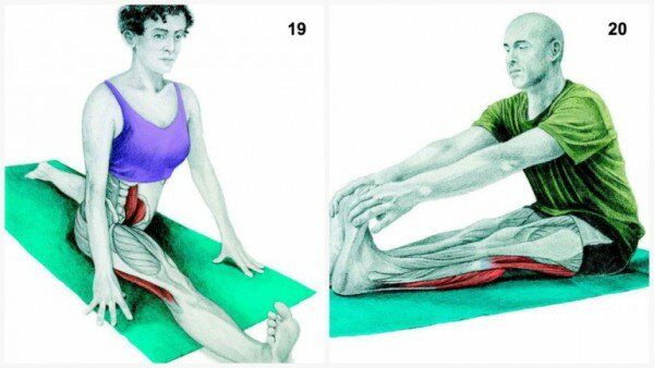 36-10-pictures-to-see-which-muscle-youre-stretching10-600x338