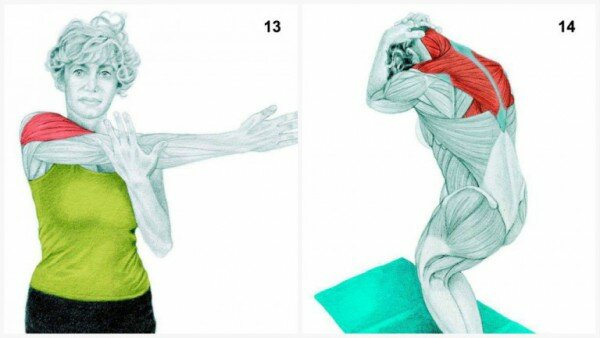 36-7-pictures-to-see-which-muscle-youre-stretching7-600x338