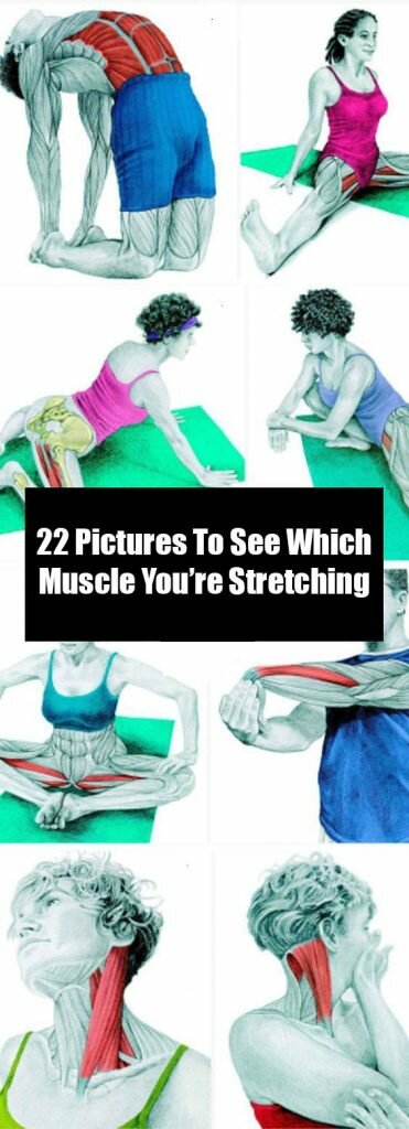 22 Pictures To See Which Muscle You’re Stretching