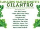 9-incredible-health-benefits-cilantro-no-1-beneficial-property